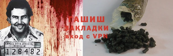 крисы Корсаков