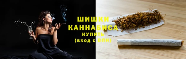 крисы Корсаков
