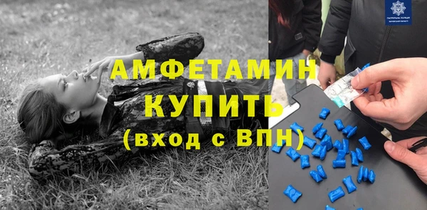 крисы Корсаков