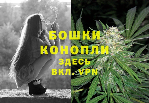 метадон Краснослободск