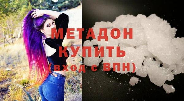 крисы Корсаков