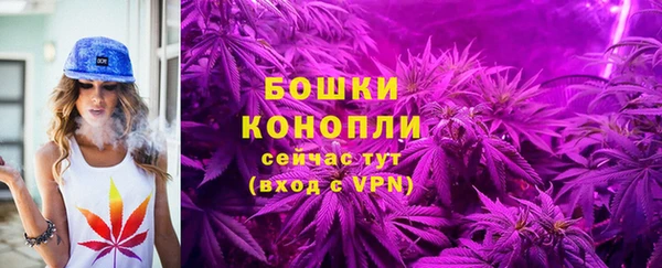метадон Краснослободск
