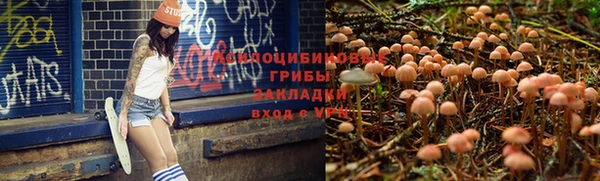 метадон Краснослободск
