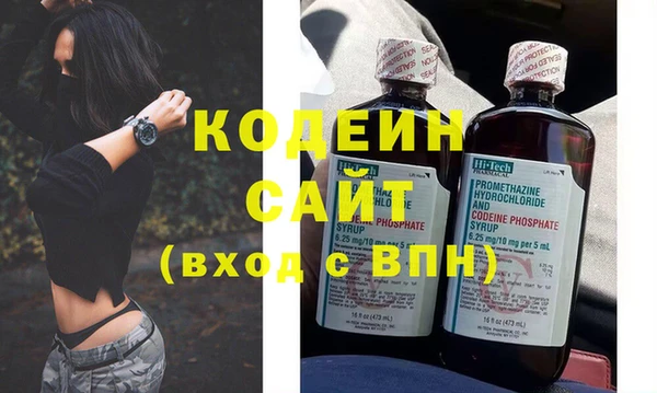 крисы Корсаков