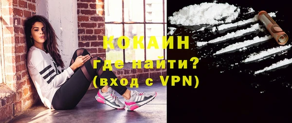 ГАЛЛЮЦИНОГЕННЫЕ ГРИБЫ Коряжма