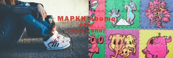 крисы Корсаков