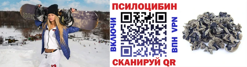 Галлюциногенные грибы мицелий  Купить где  Арамиль 
